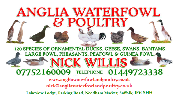 Image of logo for Anglia Waterfowl and Poultry website. Waterfowl and Poultry Breeder in Suffolk